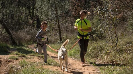 On Piste lance le label Cani'spot | 4 - Nouvelles pratiques sportives | Scoop.it