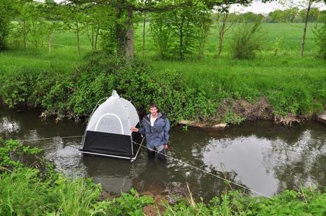 Apport d&rsquo;insectes d&rsquo;origine aquatique dans les agro&eacute;cosyst&egrave;mes : &eacute;tat des lieux et perspectives en agro&eacute;cologie | EntomoScience | Scoop.it