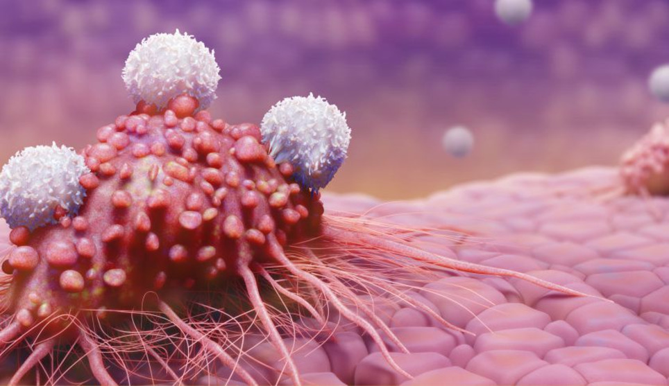 Breakthroughs in Pharma Industry in the last 12 months | New pharma | Scoop.it