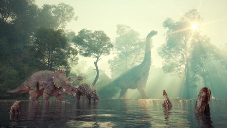 Et si les dinosaures nous aidaient à guérir le #cancer... @imperialcollege #LutteContreLeCancer @ukelaniya @unibuc_ro @ELTE_UNI @AngliaFutsal | autour du CANCER | Scoop.it