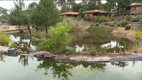 Landes : des campings labellisés par un écolabel européen respectueux de la nature | Landes | Scoop.it