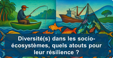 [Save the date] 22 au 26 juin 2026 - L'Institut Agro, Rennes (France) -17&egrave;me colloque scientifique de l&rsquo;Association Fran&ccedil;aise d&rsquo;Halieutique&nbsp; | HALIEUTIQUE MER ET LITTORAL | Scoop.it