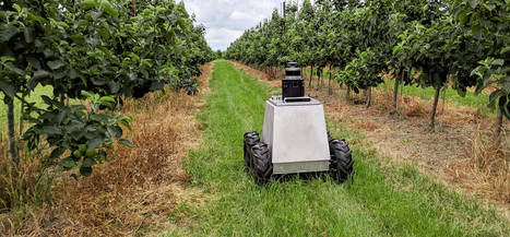 AI Powered Robot for Autonomous Crop Management | Technology in Business Today | Scoop.it