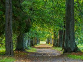 Key ESG insights from private markets for 2025 | Sustainable Procurement News | Scoop.it