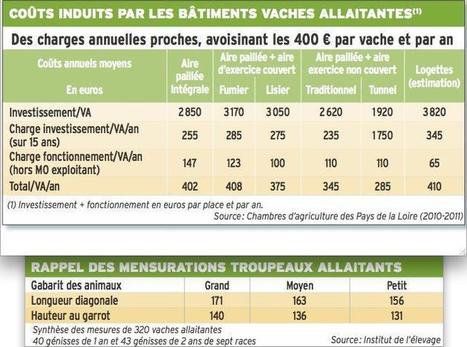 Des points à étudier en logettes | Actualités de l'élevage | Scoop.it