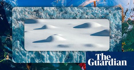 Climate anxious? Here’s how you can turn apprehension into action | Well actually | The Guardian | Agents of Behemoth | Scoop.it