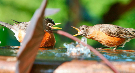 If Your Employees Are Squabbling, Your Company's Probably Standing Still | Management - Leadership | Scoop.it
