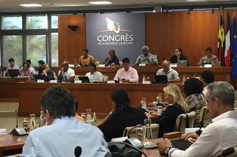 Covid-19 : cinq questions sur la commission d'enquête demandée sur la gestion de la crise (Nouvelle Calédonie) | Revue Politique Guadeloupe | Scoop.it