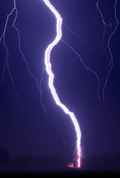 Ribbon Lightning Hits a Tree by Przemyslaw Wielicki | My Photo | Scoop.it