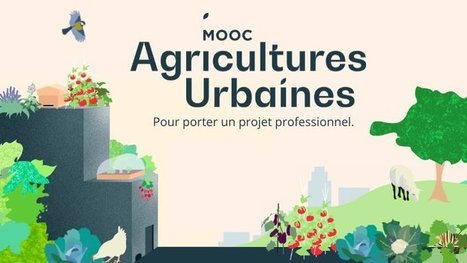MOOC Agricultures Urbaines, porter un projet professionnel | Variétés entomologiques | Scoop.it