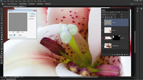 10 killer photography tips the pros won&rsquo;t tell you - PhotoVenture | Everything Photographic | Scoop.it