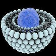 Le déploiement des nanotechnologies et de la biologie de synthèse dans l’industrie française - Ministère de l'agriculture, de l'agroalimentaire et de la forêt | SEED-DREAM Lab info | Scoop.it
