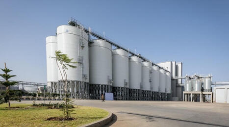 Afrique : "Le fran&ccedil;ais Soufflet Malt renforce son ancrage en Afrique" | Revue de Presse Afrique francophone par Service International de CCI Normandie | Scoop.it