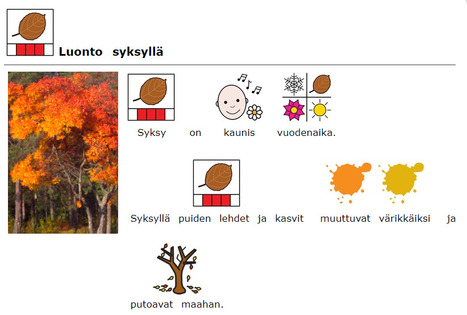 Luonto syksyll&auml; | Kuvasivut | Papunet | A1Uutiset | Scoop.it