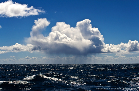 Les températures océaniques atteignent un niveau record | HALIEUTIQUE MER ET LITTORAL | Scoop.it