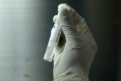 Déconfinement : pourquoi les foyers de coronavirus se multiplient dans les abattoirs  ? | La Gazette des abattoirs | Scoop.it