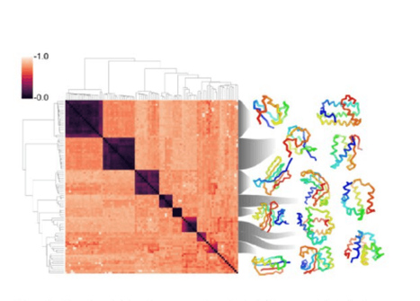 Novel protein backbone structure generation via folding diffusion | Amazing Science | Scoop.it