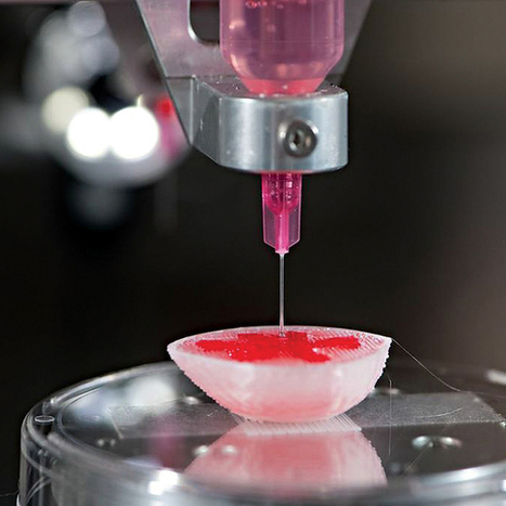 Five Body Parts Scientists Can 3-D Print | Fitness, Health, and Wellness | Scoop.it