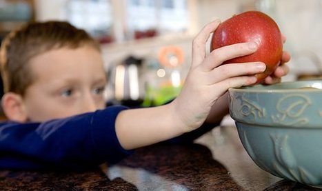 Science NetLinks | Culture scientifique et technique | Scoop.it