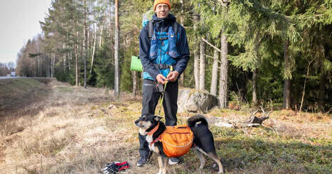Juha Oksanen g&aring;r fr&aring;n Hang&ouml; till Nuorgam med sin hund Hertta | V&auml;stnyland | 1Uutiset - Lukemisen t&auml;hden | Scoop.it