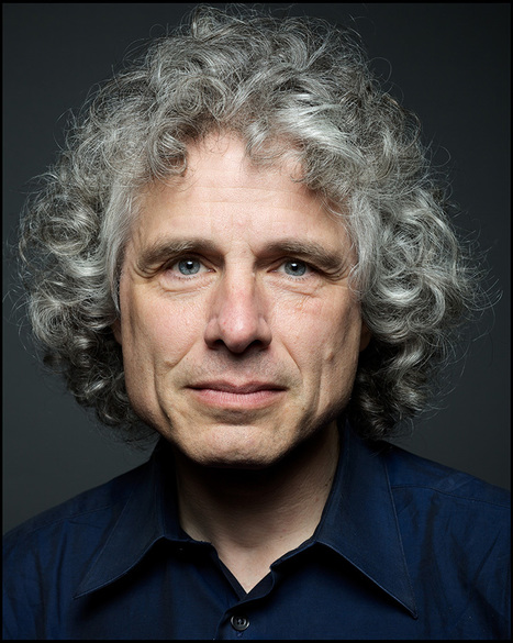 Steven Pinker: World is Actually Less Violent Today; Why? | Metaglossia: The Translation World | Scoop.it