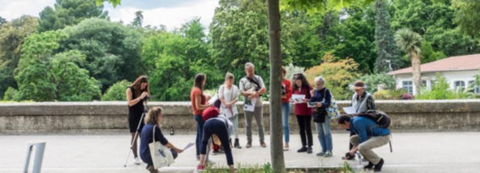 sTREEts : quand les pieds d&rsquo;arbres en ville deviennent des observatoires &ndash; | Veille territoriale AURH | Scoop.it