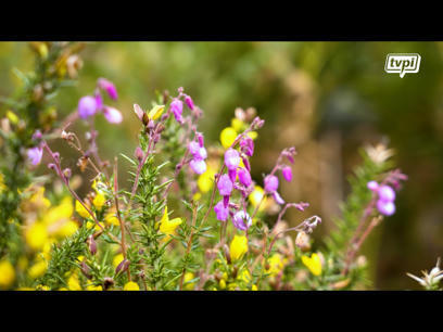 Les inventaires participatifs de la biodiversité - Sud Ouest | Biodiversité | Scoop.it