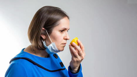 Millions could be living with hidden smell loss after COVID without knowing | Virology News | Scoop.it