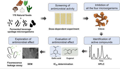 Natural food-derived antimicrobials against beer spoilage microorganisms | Amb | RMH | Scoop.it