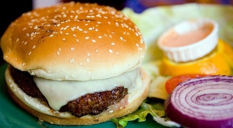 Vous mangeriez de la viande synthétique? | Ressources FLE | Scoop.it