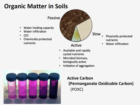 Using active organic matter measurements to predict agronomic performance, by Steve Culman | MOF matière organique réactive du sol | Scoop.it