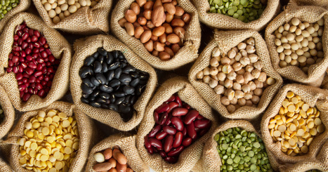 Les semences c&rsquo;est la vie&nbsp; | ALIMENTATIONS | Scoop.it