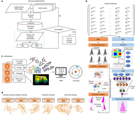 Determining structures of RNA conformers using AFM and deep neural networks | nat | RMH | Scoop.it