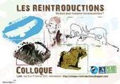 Colloque : Les réintroductions, un atout pour restaurer les écosystemes, les 10 et 11 février 2012 à Lyon | Loup | Scoop.it
