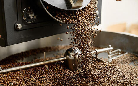 CAFÉ : Entre crises conjoncturelles et recompositions profondes | ALIMENTATIONS | Scoop.it