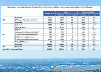 Les collectivités ont recruté un peu moins de nouveaux apprentis en 2024 | Politiques publiques et société | Scoop.it