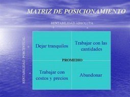 La Matriz De Posicionamiento de Productos / Negocios * | PlanUBA | Scoop.it