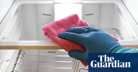 Housework to green energy: the new markers of growth in rival metric to GDP | Economic growth (GDP) | The Guardian | The Economic Method | Scoop.it