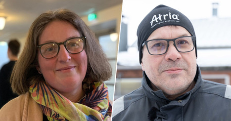 Bonden jublar medan forskaren varnar: Gensaxen kan ge gr&ouml;dor som t&aring;l klimat&shy;f&ouml;r&auml;ndringarna b&auml;ttre | &Ouml;sterbotten | 1Uutiset - Lukemisen t&auml;hden | Scoop.it