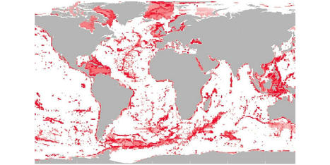 Mapping the Ocean’s Biodiversity | Biodiversité | Scoop.it