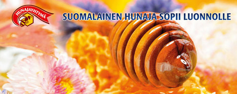 Hunaja | Suomalainen hunaja sopii luonnolle | Hunajayhtymä Oy | 1Uutiset - Lukemisen tähden | Scoop.it