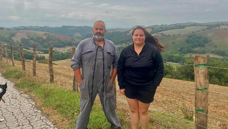 "Les prairies sont mortes" : au Pays Basque des éleveurs piochent dans les stocks de l'hiver pour nourrir leurs bêtes - ici | BABinfo Pays Basque | Scoop.it