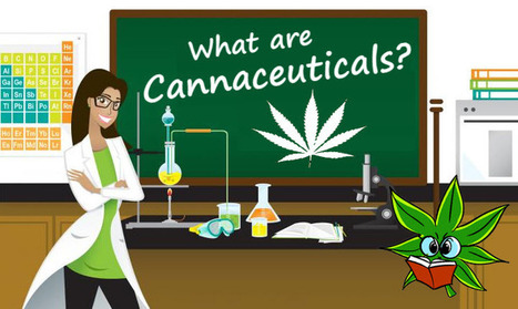 What are Cannaceuticals? (The Great Cannabis Medicine Race) | Cannabis.Net | Scoop.it