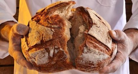 Il Pane della Nonna, forse qualcuno lo ricorda, durava dieci giorni… e allora cos’è questa porcheria che ci fanno mangiare oggi? | notizie italiane | La Cucina Italiana - De Italiaanse Keuken - The Italian Kitchen | Scoop.it