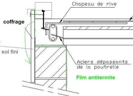 Termites, une protection économique | Build Green, pour un habitat écologique | Scoop.it