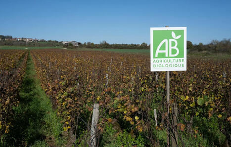 Bio : L’objectif de 21 % des surfaces agricoles en 2030 est-il fichu d’avance ? | Attitude BIO | Scoop.it
