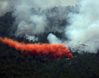 Incendies : les retardants d&eacute;vers&eacute;s sur les for&ecirc;ts girondines pour lutter contre le feu auront-ils un impact &agrave; long terme ? | Environnement - D&eacute;veloppement durable - Climat | Scoop.it