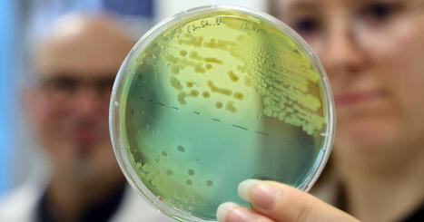 Strasbourg | Des chercheurs r&eacute;unis pour faire face aux enjeux environnementaux du Rhin sup&eacute;rieur | Actu Archi-Urba-Environnement-Paysage | Scoop.it