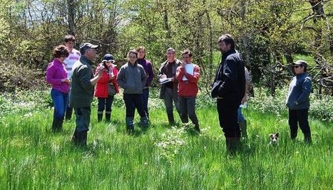 Camargue : Le concours des prairies fleuries, c'est maintenant!   | Camargue Nature | Scoop.it
