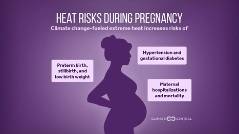 ENVIRONMENT: Climate change nearly doubled pregnancy heat risk days in U.S. | DURABILITES | Scoop.it